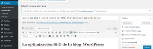 consultor seo - optimización artículos blog