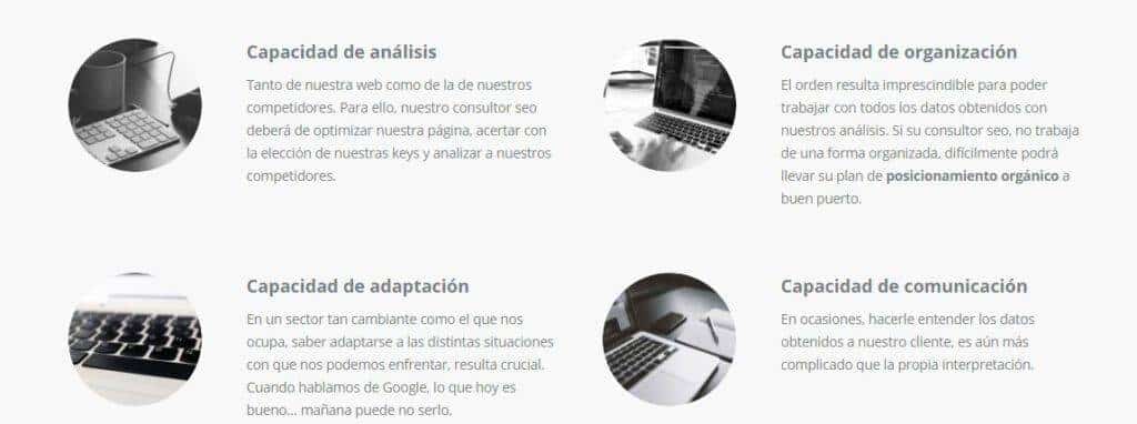 posicionamiento seo - consultor